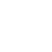 shopkinnection